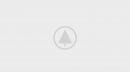 wood-gallery-placeholder wood-gallery-placeholder